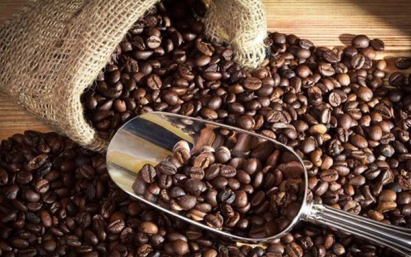 Cà Phê Catimor Là Gì? Đặc Điểm Của Loại Cafe Catimor