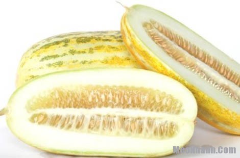 Cách Làm Sinh Tố Dưa Gang Với Máy Xay Sinh Tố ProXmix