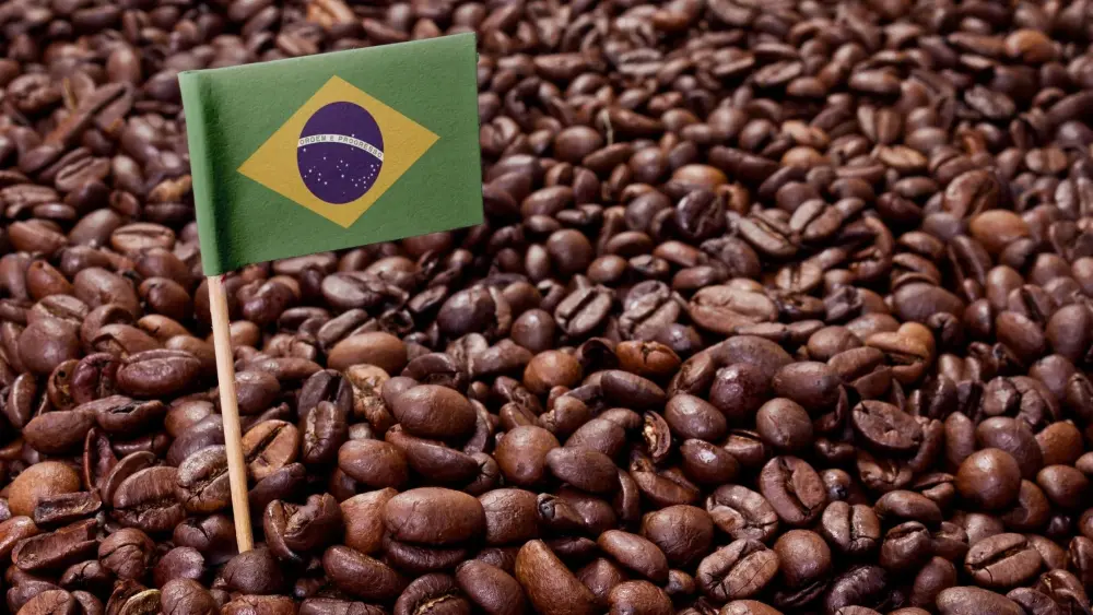 Cà phê Brazil - quốc gia xuất khẩu cà phê lớn nhất thế giới