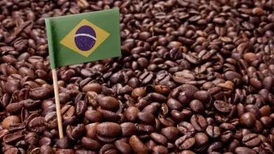 Cà phê Brazil - quốc gia xuất khẩu cà phê lớn nhất thế giới