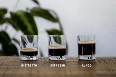 Lungo Coffee là gì? So sánh Lungo, Espresso và Americano