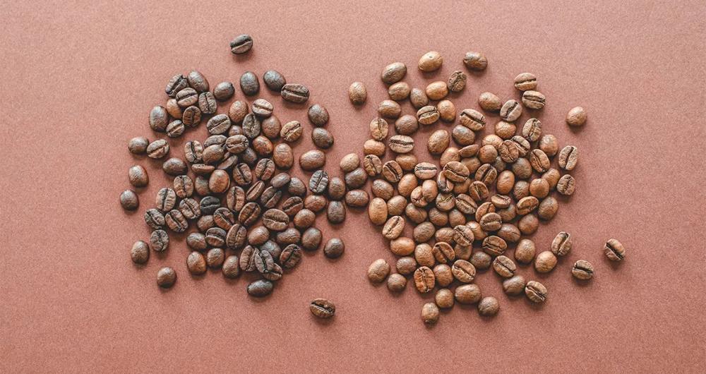 Specialty coffee là gì? Định nghĩa cà phê đặc sản theo SCA
