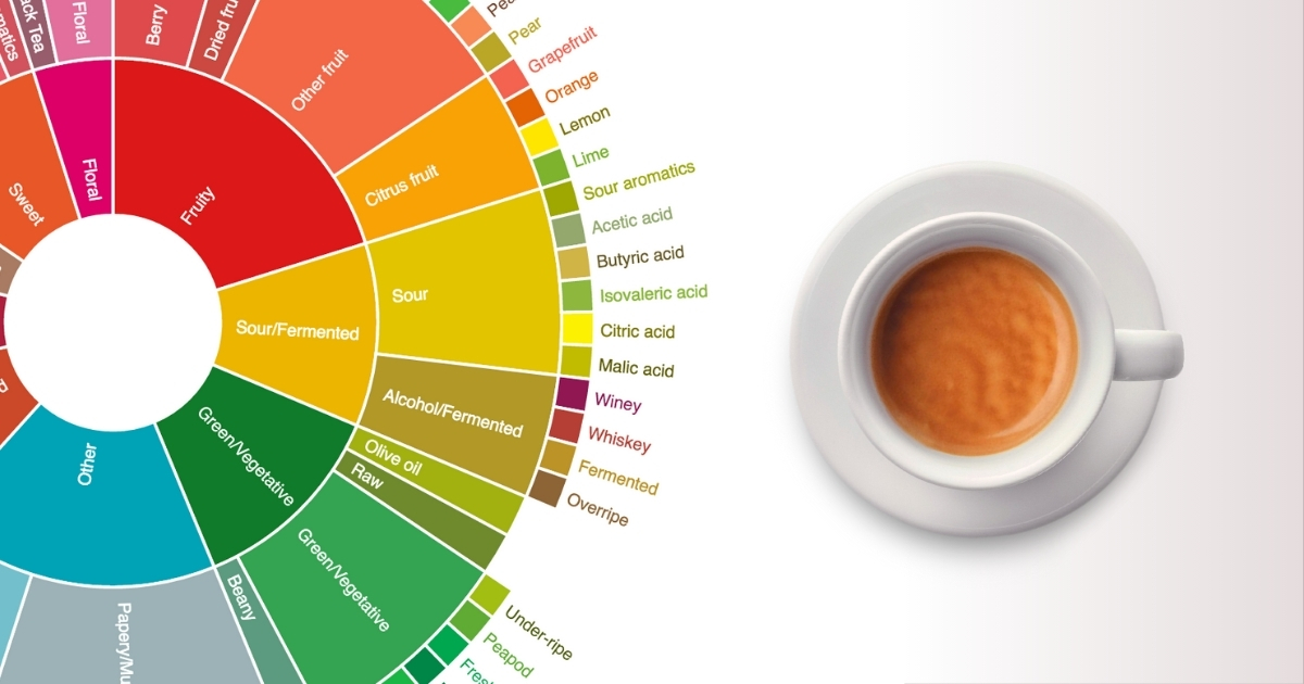 Espresso có vị gì?