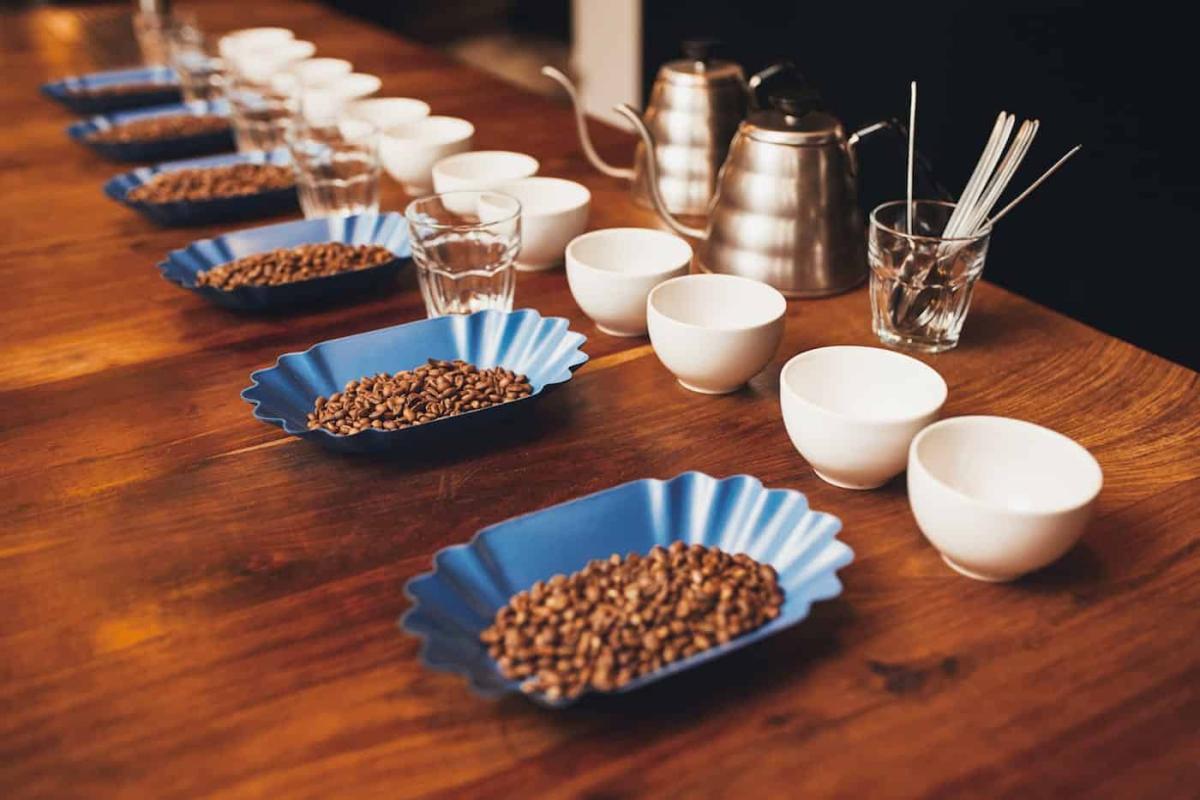 Quy trình cupping đánh giá cà phê specialty chuẩn SCA