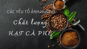 Hạt cà phê
